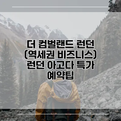 더 컴벌랜드 런던 (역세권 비즈니스) 런던 아고다 특가 예약팁