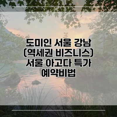 도미인 서울 강남 (역세권 비즈니스) 서울 아고다 특가 예약비법