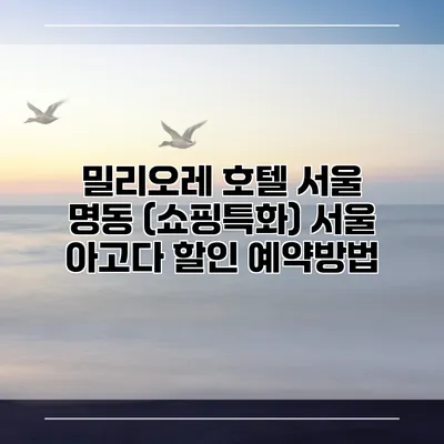 밀리오레 호텔 서울 명동 (쇼핑특화) 서울 아고다 할인 예약방법