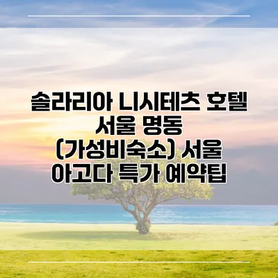 솔라리아 니시테츠 호텔 서울 명동 (가성비숙소) 서울 아고다 특가 예약팁