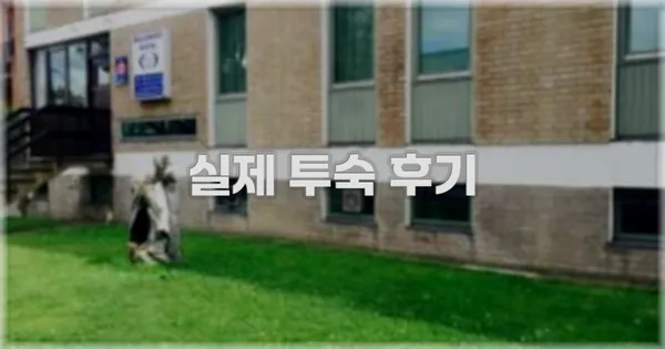 💬 실제 투숙 후기