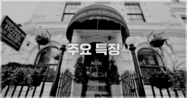 ✨ 주요 특징