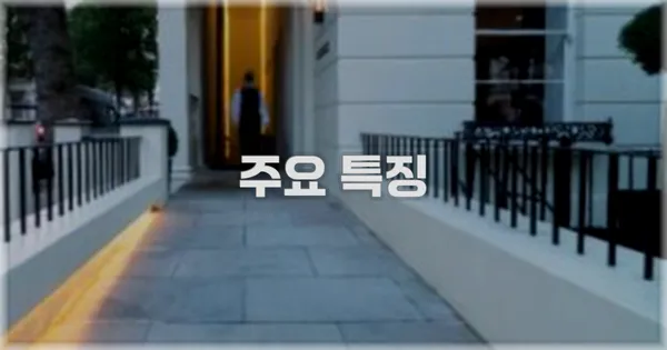 ✨ 주요 특징
