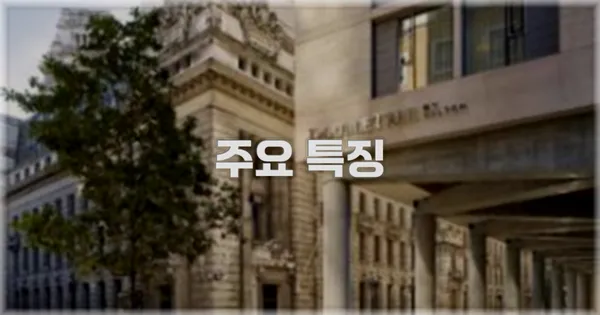 ✨ 주요 특징