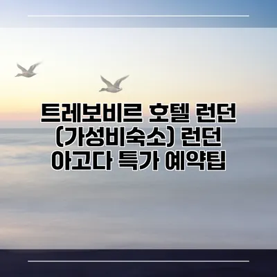 트레보비르 호텔 런던 (가성비숙소) 런던 아고다 특가 예약팁