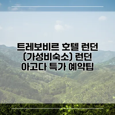 트레보비르 호텔 런던 (가성비숙소) 런던 아고다 특가 예약팁