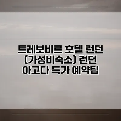 트레보비르 호텔 런던 (가성비숙소) 런던 아고다 특가 예약팁