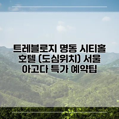 트레블로지 명동 시티홀 호텔 (도심위치) 서울 아고다 특가 예약팁