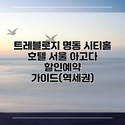 트레블로지 명동 시티홀 호텔 서울 아고다 할인예약 가이드(역세권)