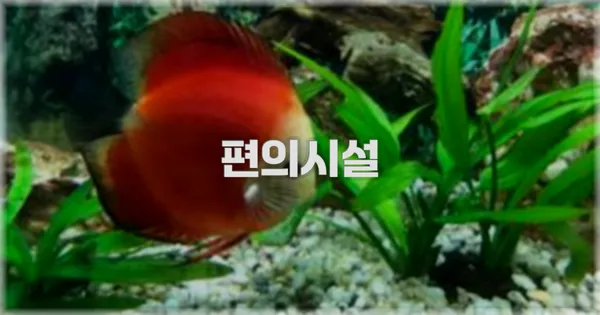 🛎️ 편의시설