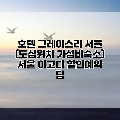 호텔 그레이스리 서울 (도심위치 가성비숙소) 서울 아고다 할인예약 팁