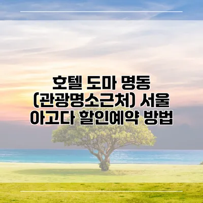 호텔 도마 명동 (관광명소근처) 서울 아고다 할인예약 방법
