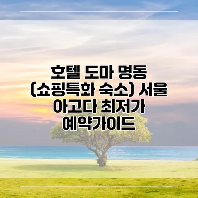 호텔 도마 명동 (쇼핑특화 숙소) 서울 아고다 최저가 예약가이드