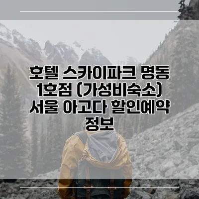 호텔 스카이파크 명동 1호점 (가성비숙소) 서울 아고다 할인예약 정보