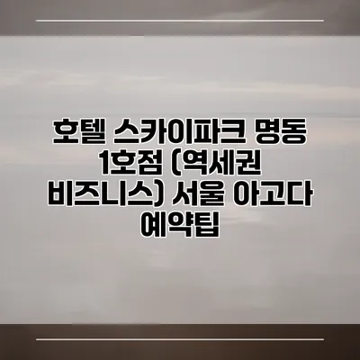 호텔 스카이파크 명동 1호점 (역세권 비즈니스) 서울 아고다 예약팁