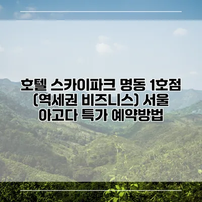 호텔 스카이파크 명동 1호점 (역세권 비즈니스) 서울 아고다 특가 예약방법