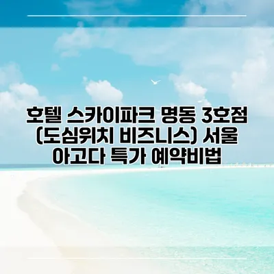 호텔 스카이파크 명동 3호점 (도심위치 비즈니스) 서울 아고다 특가 예약비법