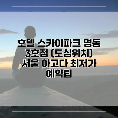 호텔 스카이파크 명동 3호점 (도심위치) 서울 아고다 최저가 예약팁