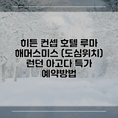 히튼 컨셉 호텔 루마 해머스미스 (도심위치) 런던 아고다 특가 예약방법