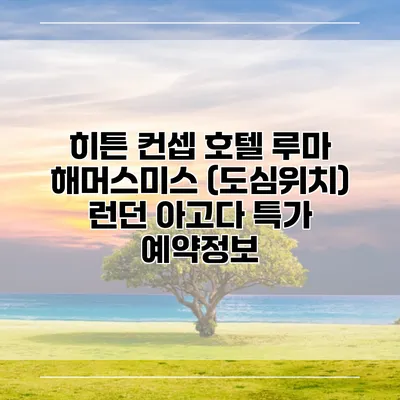 히튼 컨셉 호텔 루마 해머스미스 (도심위치) 런던 아고다 특가 예약정보