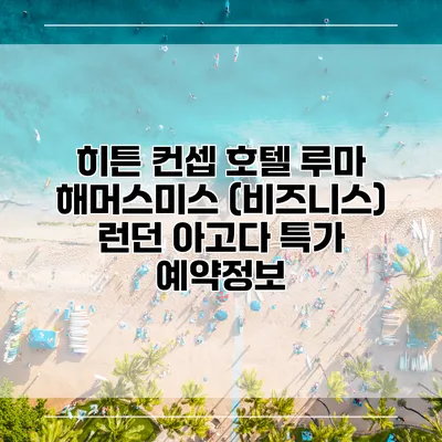 히튼 컨셉 호텔 루마 해머스미스 (비즈니스) 런던 아고다 특가 예약정보