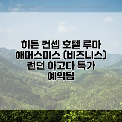 히튼 컨셉 호텔 루마 해머스미스 (비즈니스) 런던 아고다 특가 예약팁