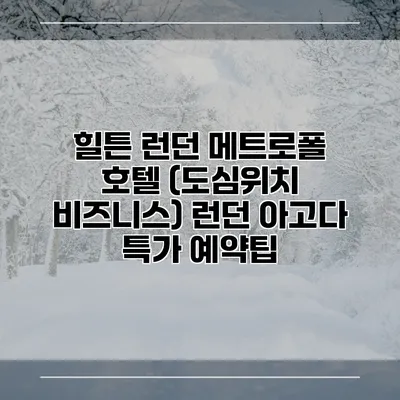 힐튼 런던 메트로폴 호텔 (도심위치 비즈니스) 런던 아고다 특가 예약팁