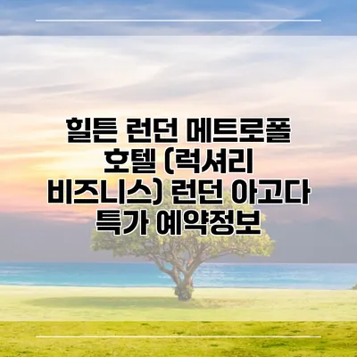 힐튼 런던 메트로폴 호텔 (럭셔리 비즈니스) 런던 아고다 특가 예약정보