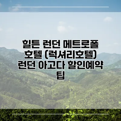 힐튼 런던 메트로폴 호텔 (럭셔리호텔) 런던 아고다 할인예약 팁