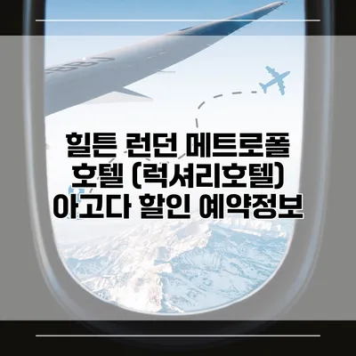 힐튼 런던 메트로폴 호텔 (럭셔리호텔) 아고다 할인 예약정보