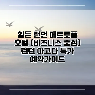 힐튼 런던 메트로폴 호텔 (비즈니스 중심) 런던 아고다 특가 예약가이드