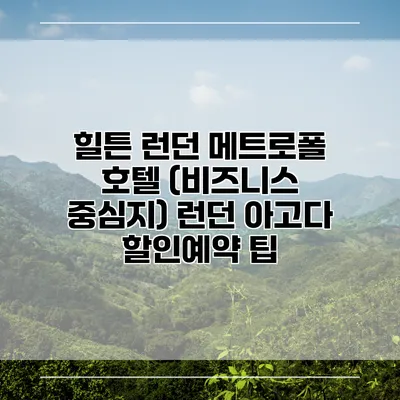 힐튼 런던 메트로폴 호텔 (비즈니스 중심지) 런던 아고다 할인예약 팁