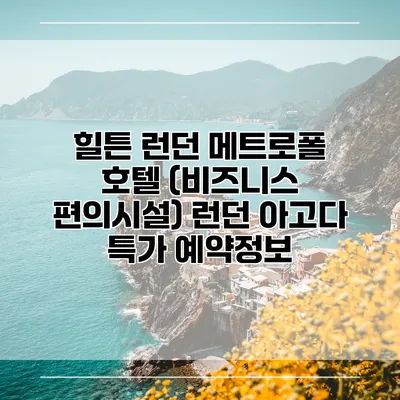 힐튼 런던 메트로폴 호텔 (비즈니스 편의시설) 런던 아고다 특가 예약정보