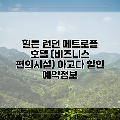 힐튼 런던 메트로폴 호텔 (비즈니스 편의시설) 아고다 할인 예약정보