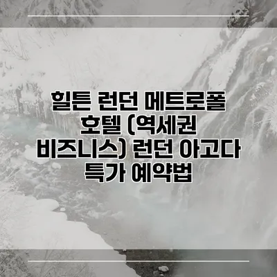 힐튼 런던 메트로폴 호텔 (역세권 비즈니스) 런던 아고다 특가 예약법